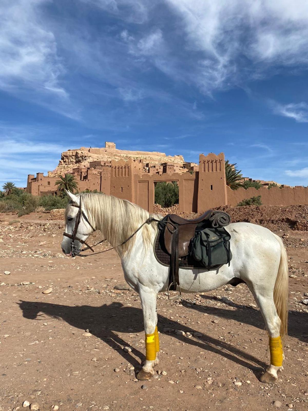 taman'art space Ait Ben Haddou Bagian luar foto
